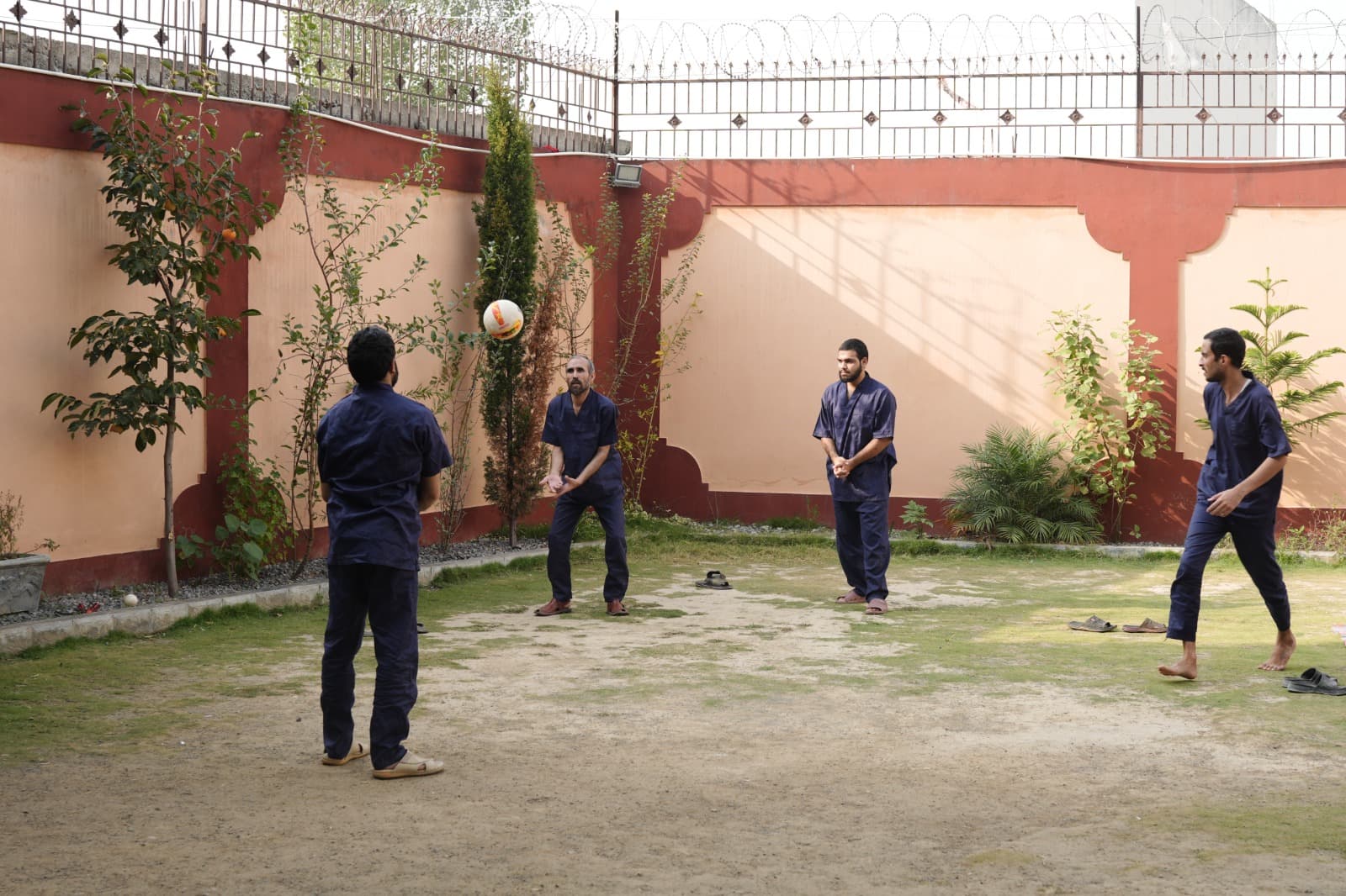 Volleyball in the garden